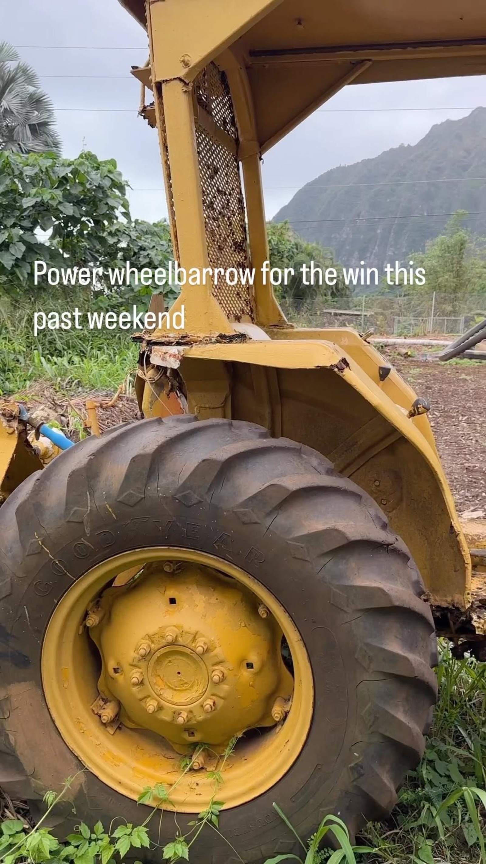 Tractor at Wailupe Farms