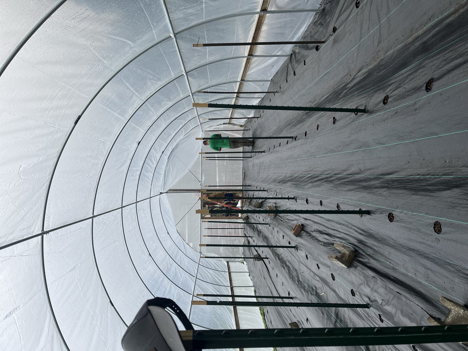 Greenhouse interior at Wailupe Farms