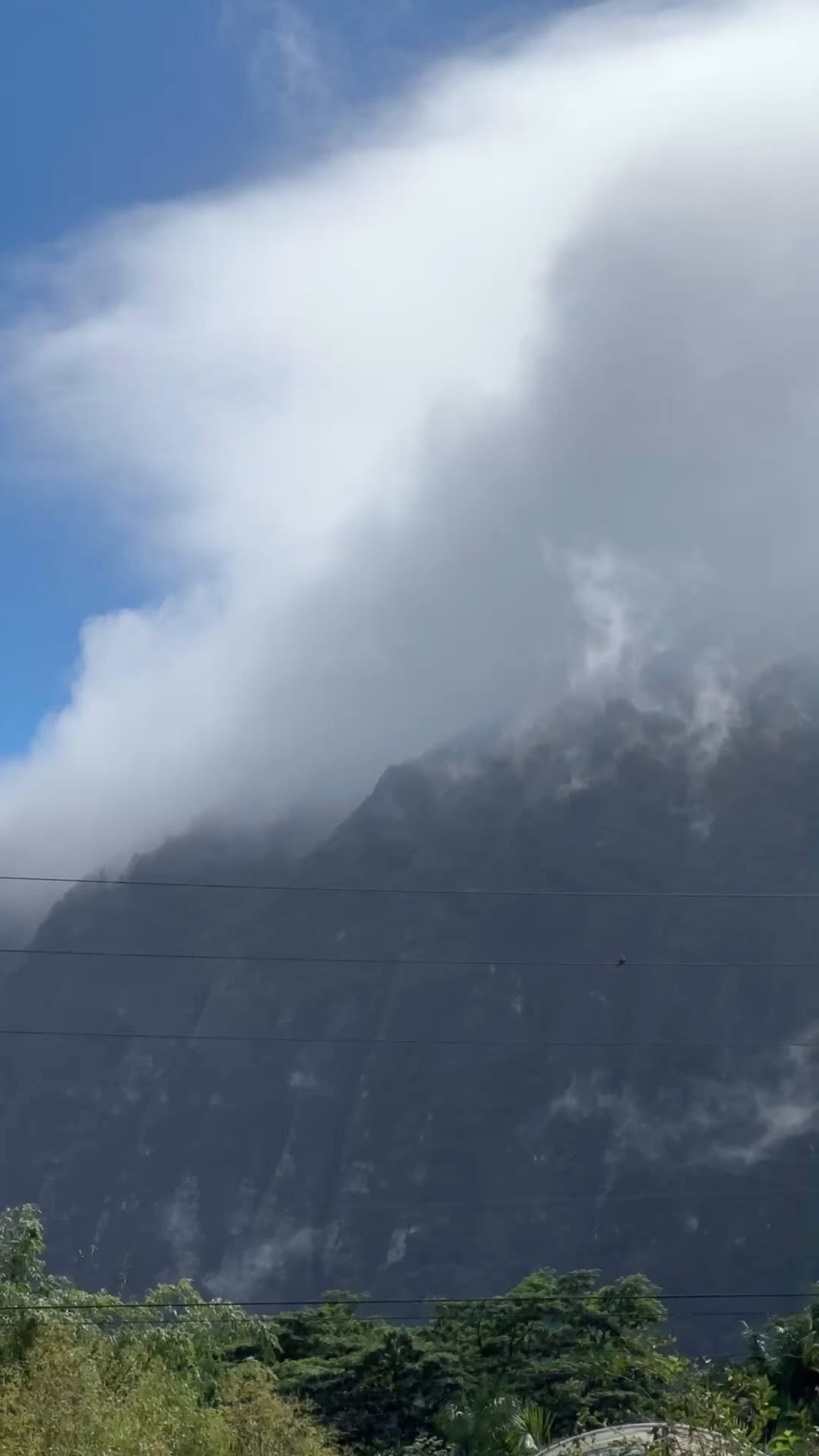 Tilled field at Wailupe Farms, Waimanalo